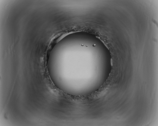 X0000097760144200803141731