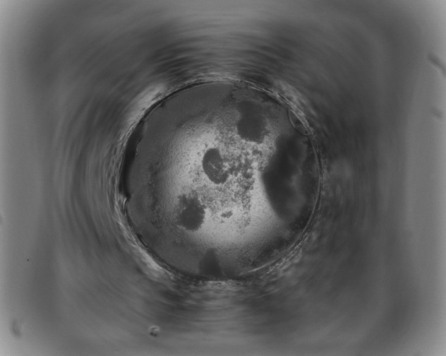 X0000097760145200803141730