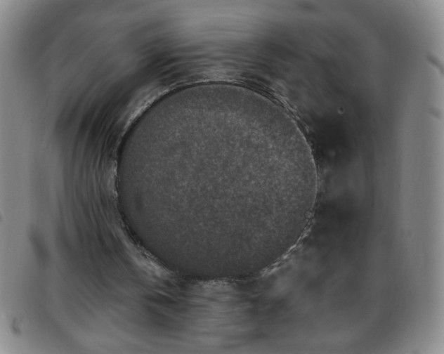 X0000097760146200803141730