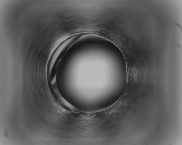 X0000097760148200803141730