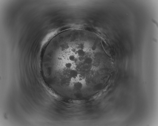 X0000097760149200803141730