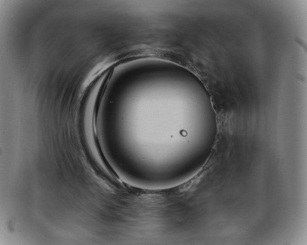 X0000097760150200803141730