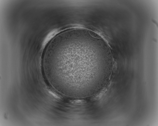 X0000097760151200803141730