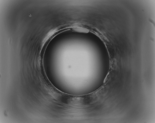 X0000097760152200803141730