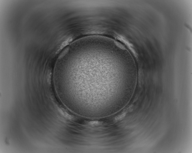 X0000097760153200803141730