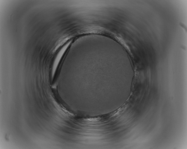 X0000097760154200803141730