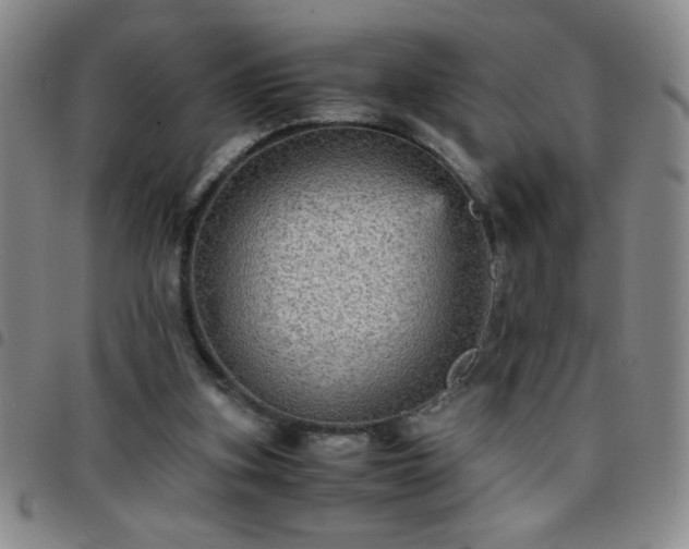 X0000097760155200803141730