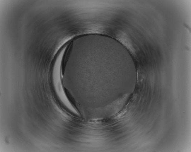 X0000097760156200803141730