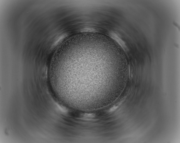 X0000097760157200803141730