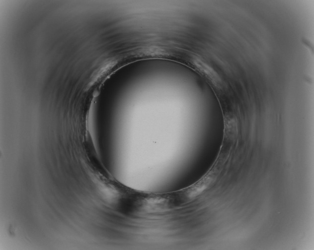 X0000097760158200803141730