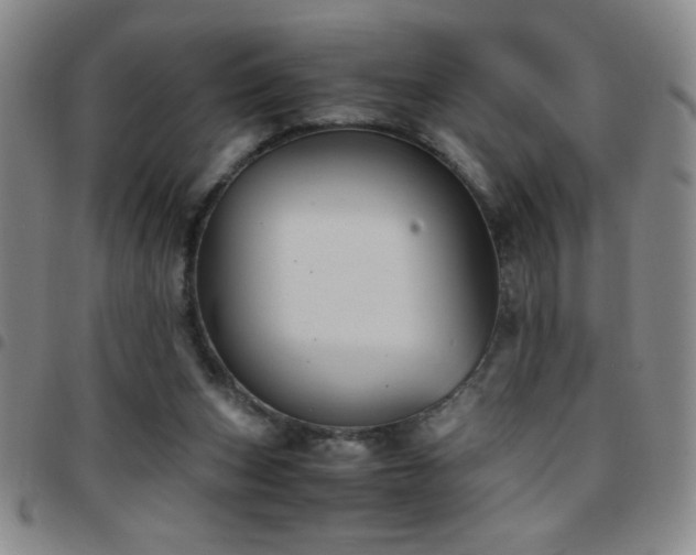 X0000097760159200803141730