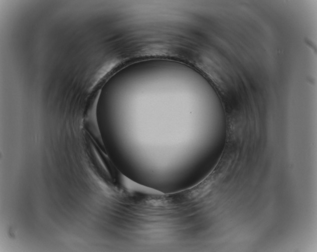 X0000097760160200803141730