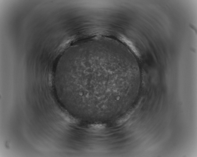 X0000097760161200803141730