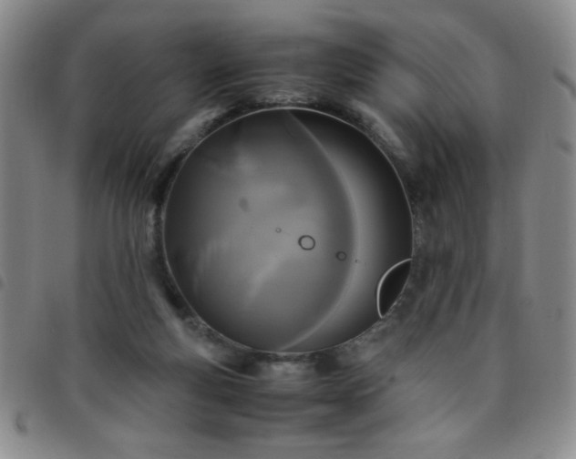 X0000097760163200803141730