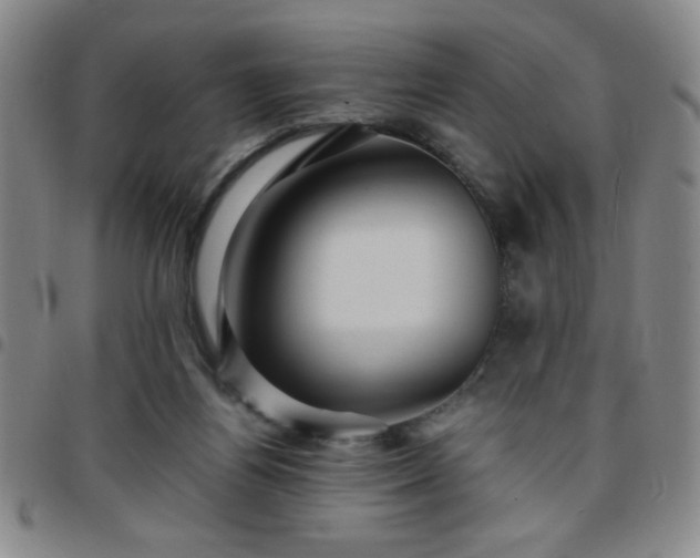 X0000097760164200803141730