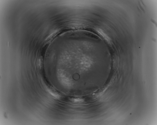 X0000097760165200803141730