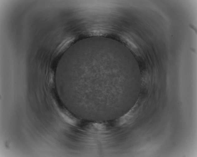 X0000097760166200803141730