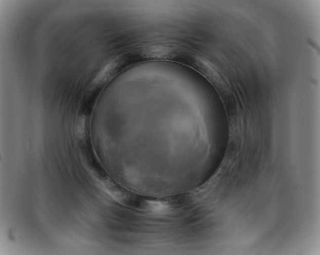 X0000097760167200803141730