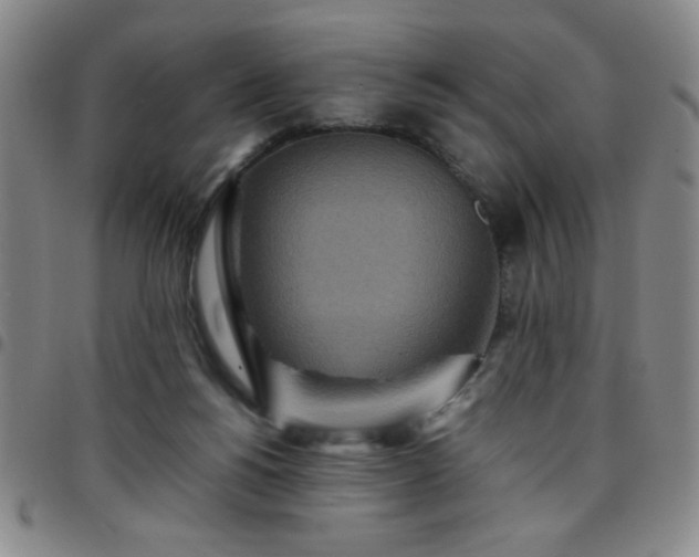 X0000097760168200803141730