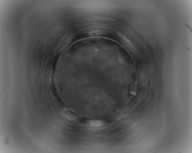 X0000097760169200803141730