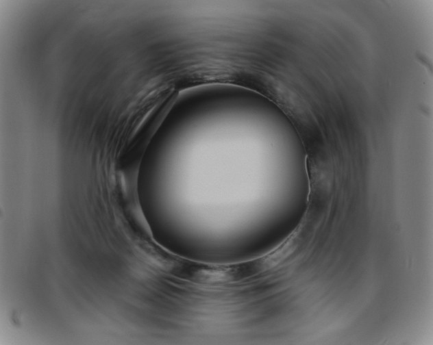 X0000097760170200803141731