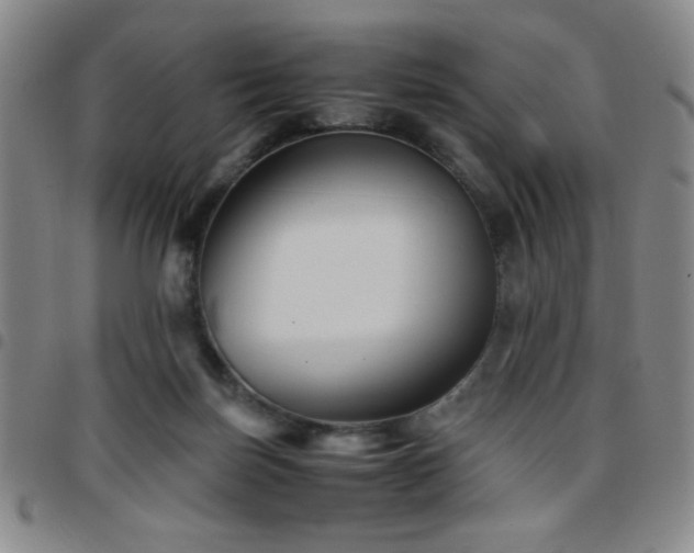 X0000097760171200803141731