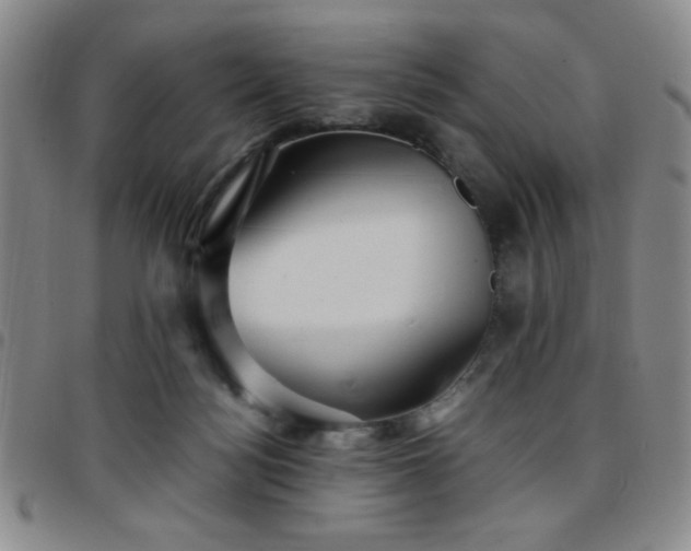 X0000097760172200803141731