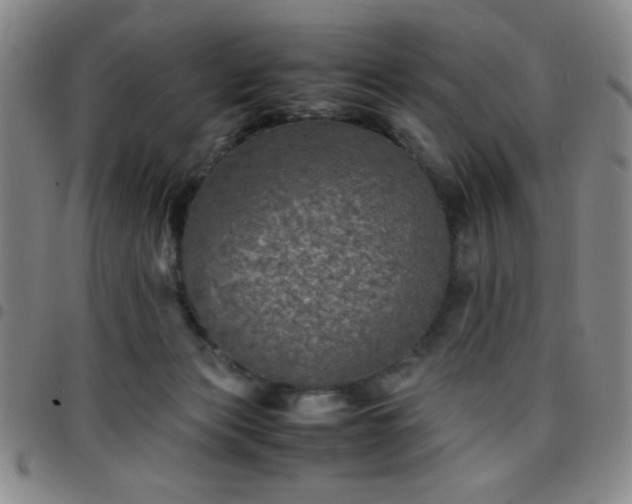 X0000097760173200803141731