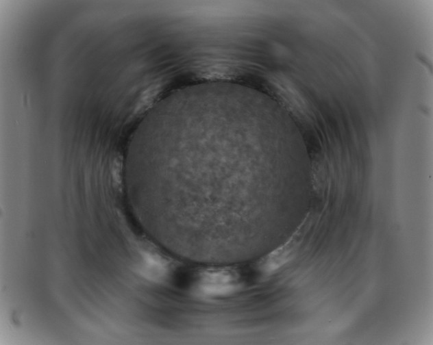 X0000097760175200803141731