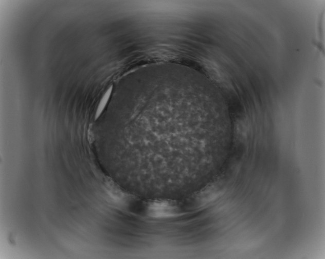 X0000097760177200803141731