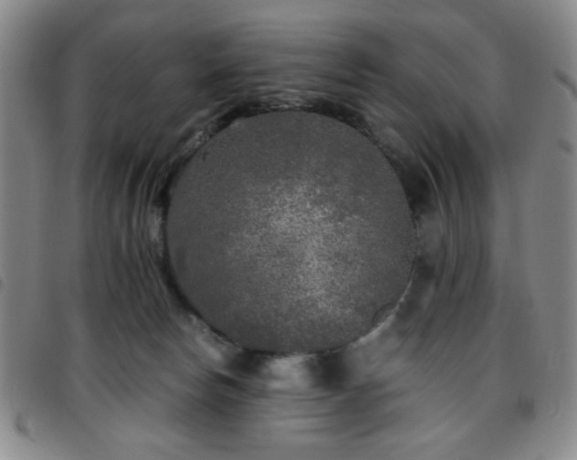 X0000097760178200803141731