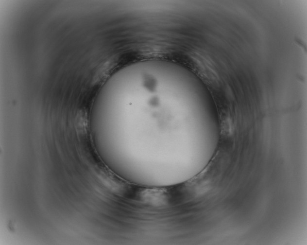 X0000097760179200803141731