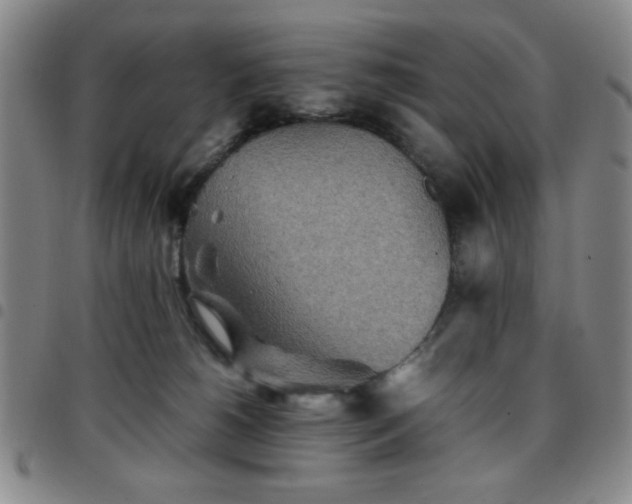 X0000097760180200803141731