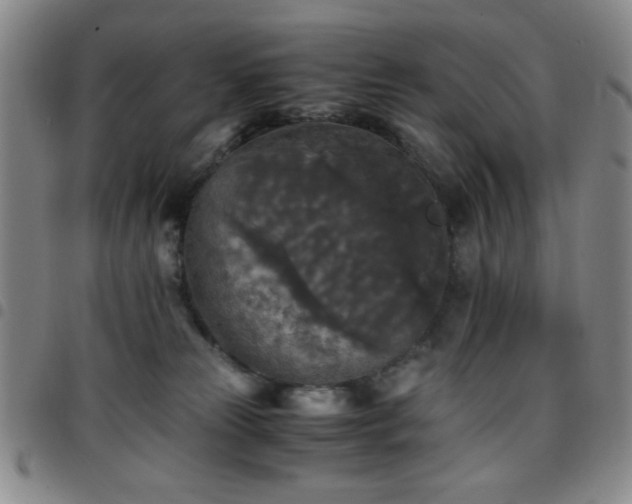 X0000097760181200803141731