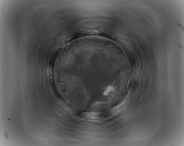 X0000097760182200803141731