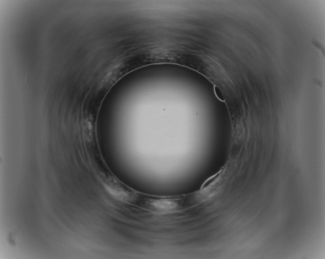 X0000097760183200803141731