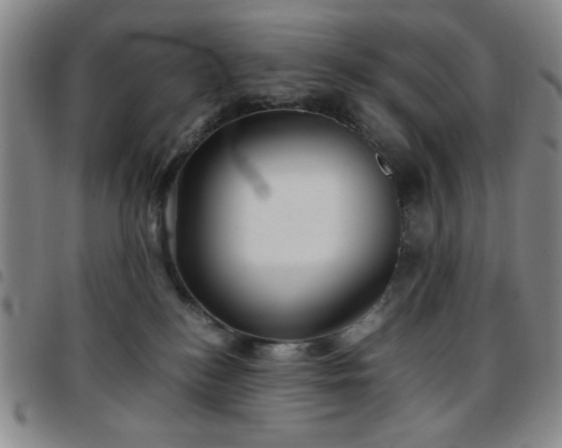 X0000097760184200803141731