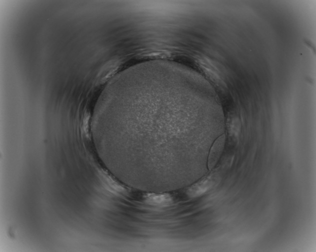 X0000097760185200803141731