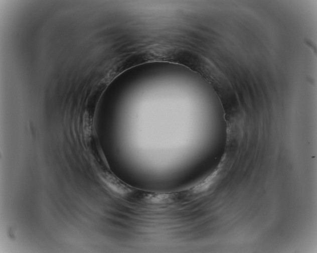 X0000097760186200803141731