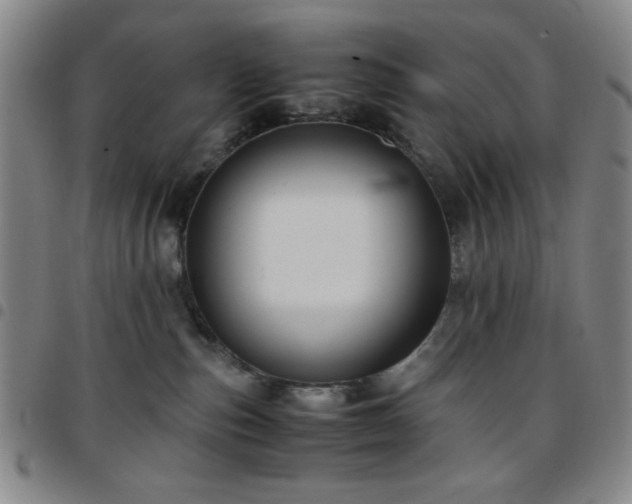 X0000097760187200803141731