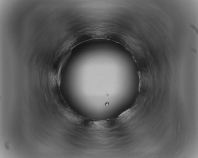 X0000097760188200803141731