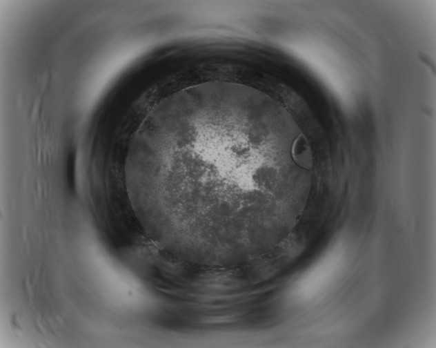 X0000097760189200803141731