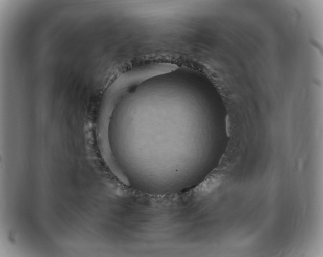 X0000097760192200803141731