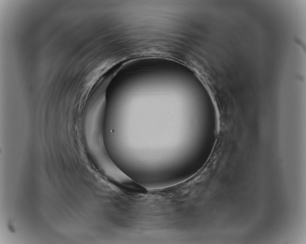 X0000097760193200803141730