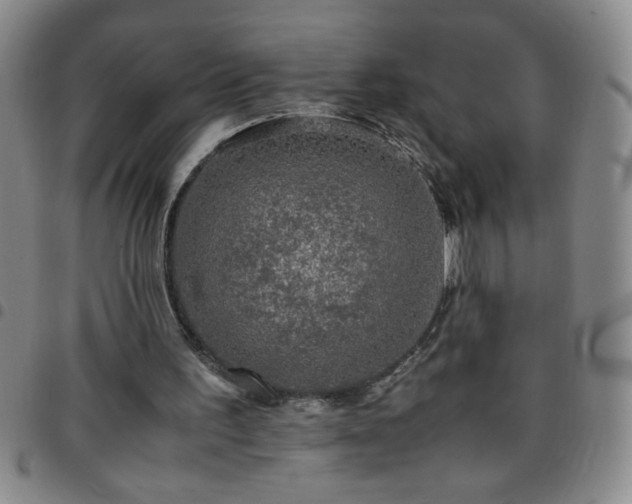 X0000097760195200803141730