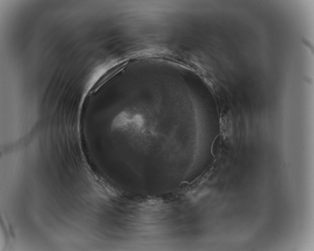 X0000097760196200803141730