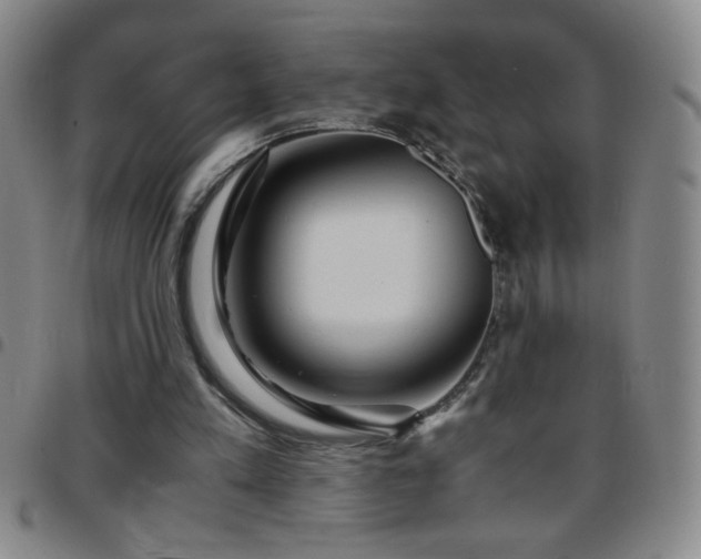 X0000097760197200803141730