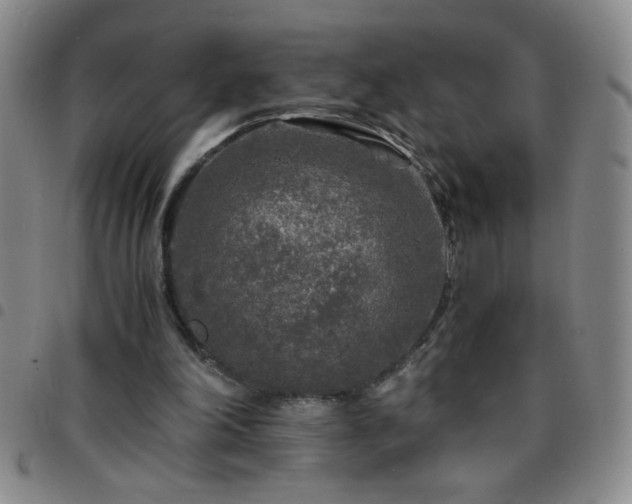 X0000097760198200803141730