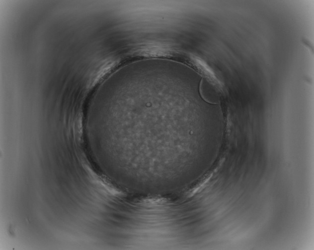 X0000097760202200803141730