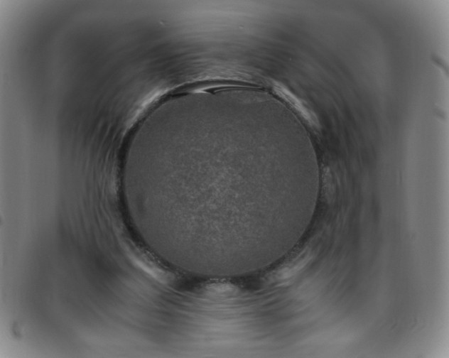 X0000097760203200803141730